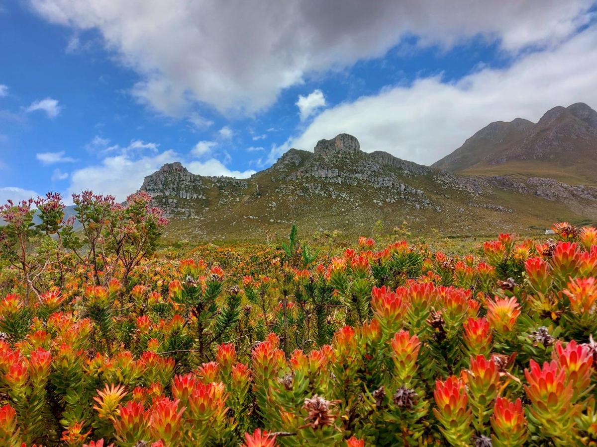 La Mer Seafront Selfcatering Accommodation Kleinmond Bagian luar foto