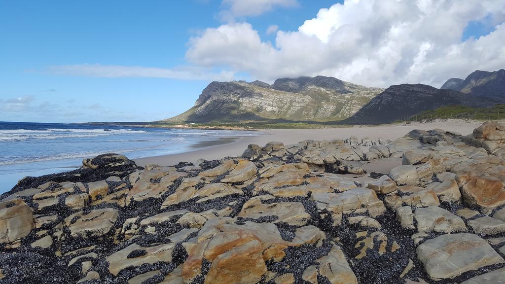 La Mer Seafront Selfcatering Accommodation Kleinmond Bagian luar foto