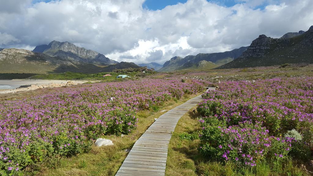 La Mer Seafront Selfcatering Accommodation Kleinmond Bagian luar foto