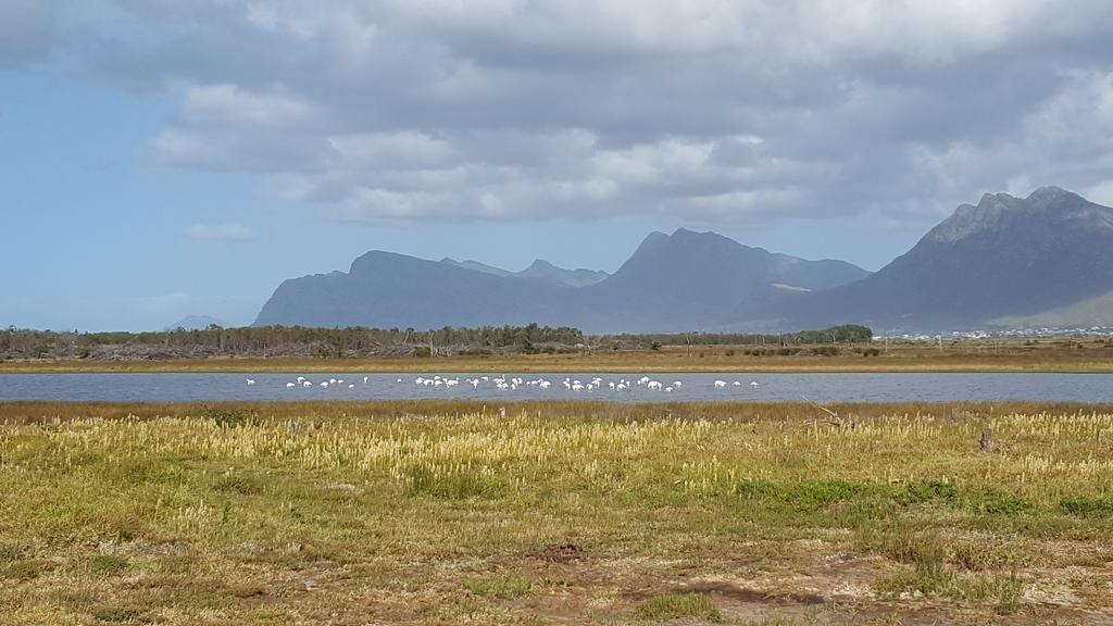 La Mer Seafront Selfcatering Accommodation Kleinmond Bagian luar foto
